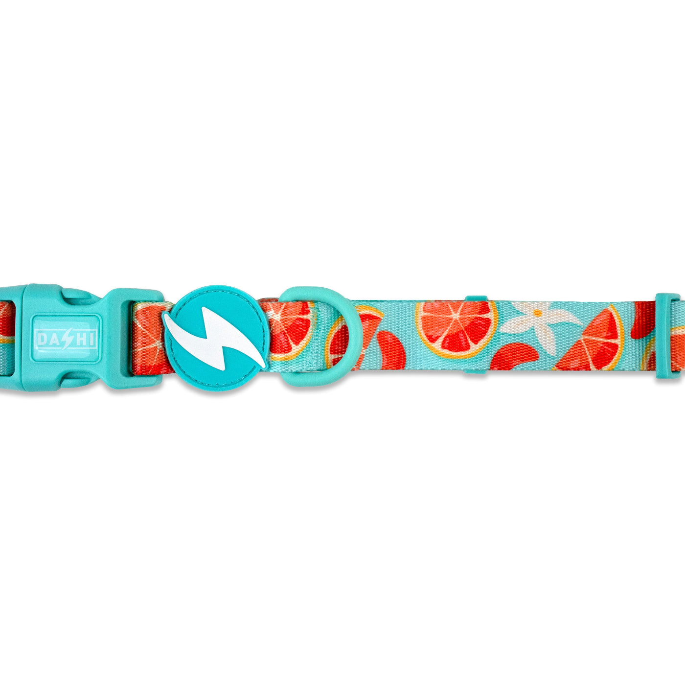 DASHI ECO CARIBE COLLAR