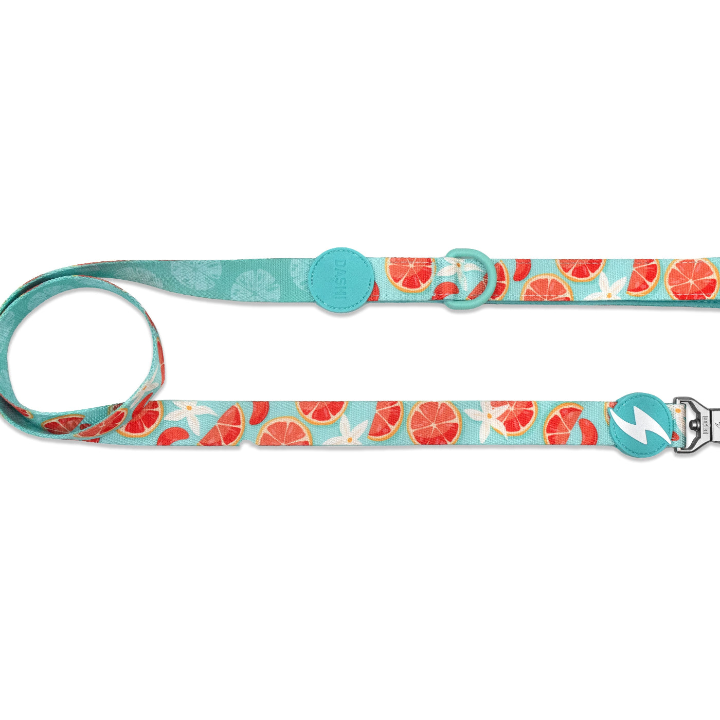 DASHI ECO CARIBE LEASH