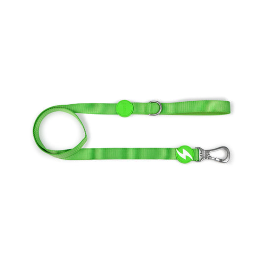 DASHI SOLID GREEN LEASH