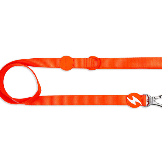 DASHI NEON ORANGE LEASH