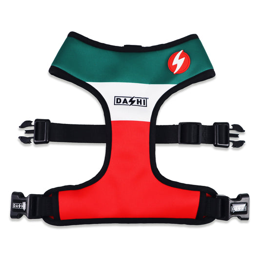 DASHI STRIPES3 GREEN & RED NEO MESH