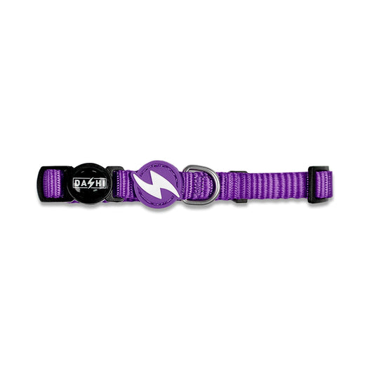 DASHI SOLID PURPLE COLLAR CAT