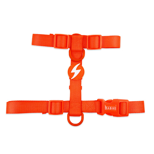 DASHI NEON ORANGE BACK HARNESS