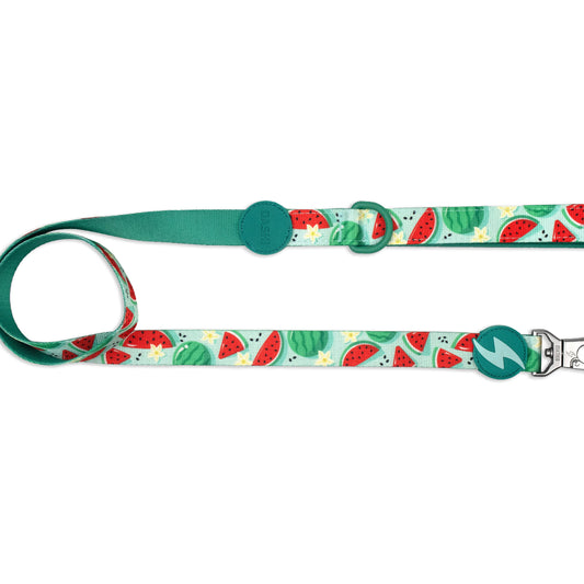 DASHI ECO BREEZE LEASH
