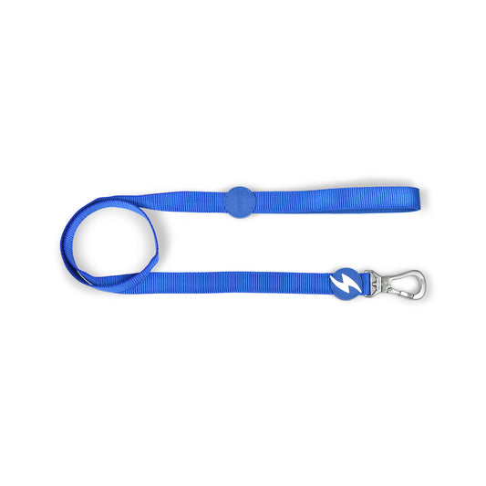 DASHI SOLID BLUE LEASH