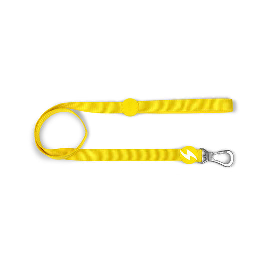 DASHI SOLID YELLOW LEASH
