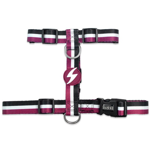 DASHI STRIPES3 PURPLE & BLACK BACK HARNESS