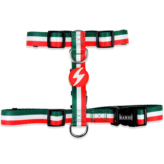 DASHI STRIPES3 GREEN & RED BACK HARNESS