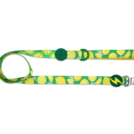 DASHI ECO RIO LEASH