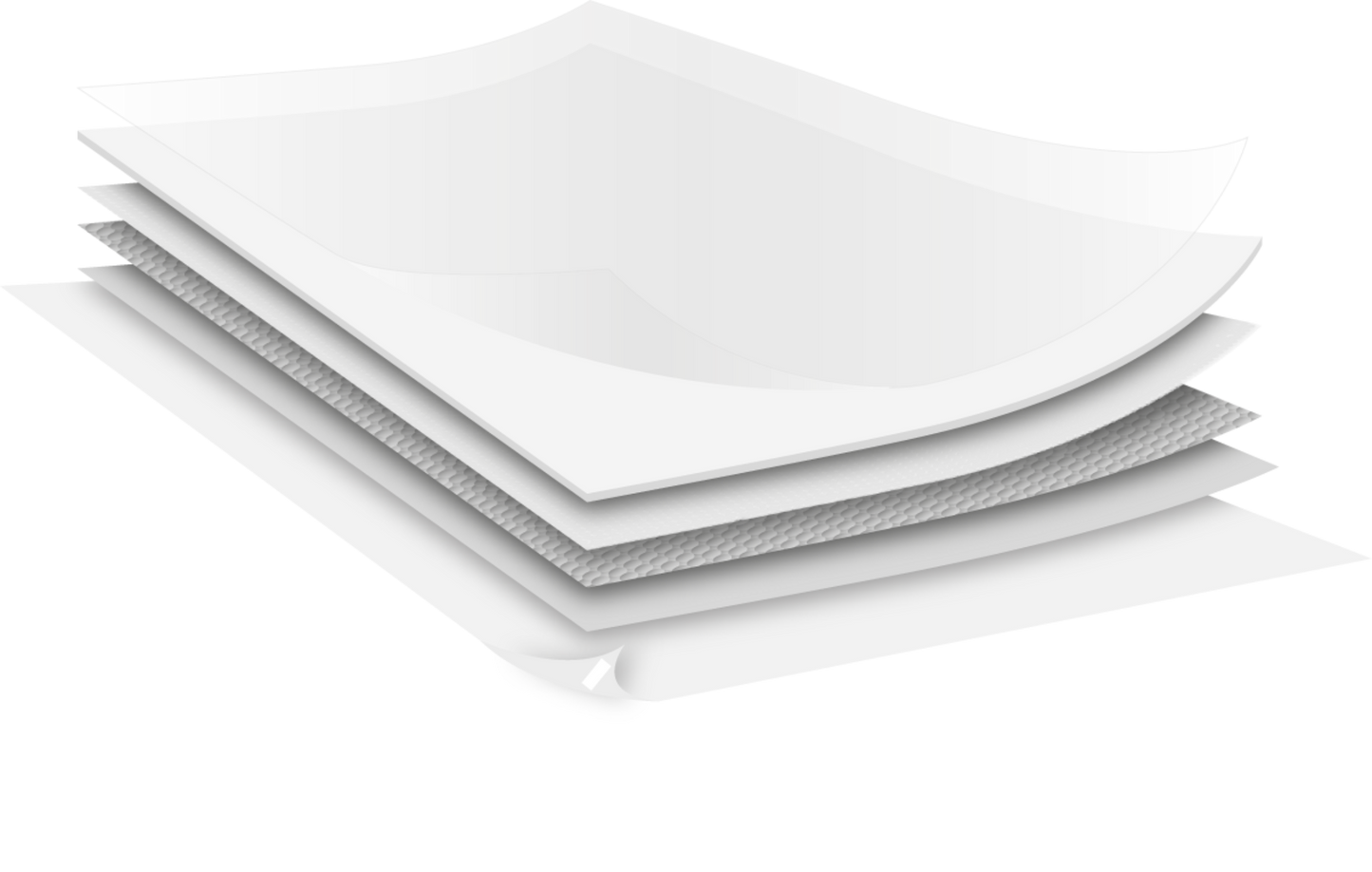 DASHI FOREST PAD