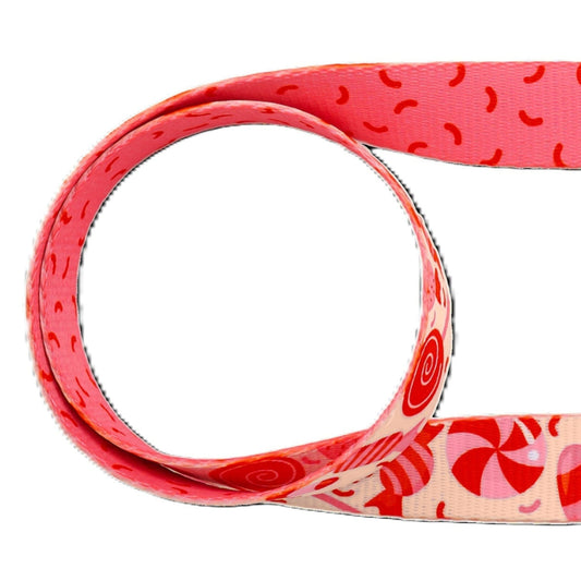 DASHI SPRINKLE LEASH