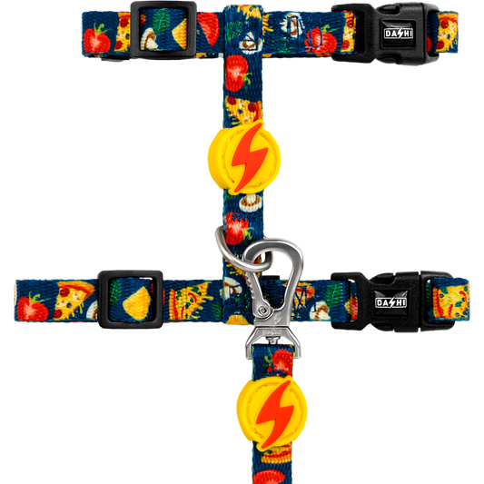 DASHI CHEESY CAT HARNESS + LEASH