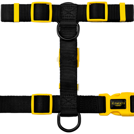 DASHI ELEMENTS BLACK BACK HARNESS