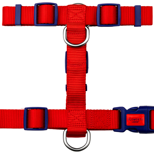 DASHI ELEMENTS RED BACK HARNESS