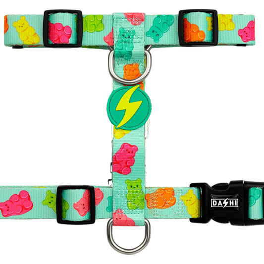 DASHI GUMMY BACK HARNESS