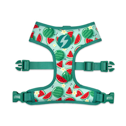 DASHI ECO BREEZE NEO MESH