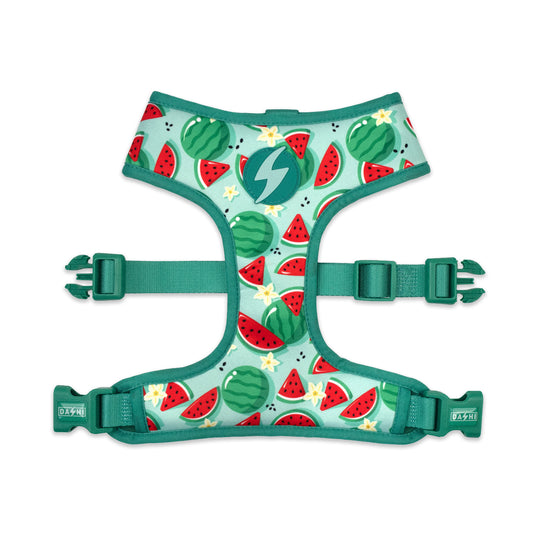 DASHI ECO BREEZE NEO MESH