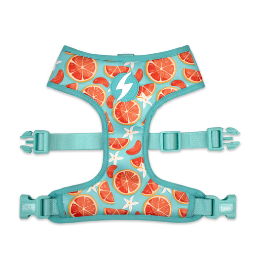 DASHI ECO CARIBE NEO MESH