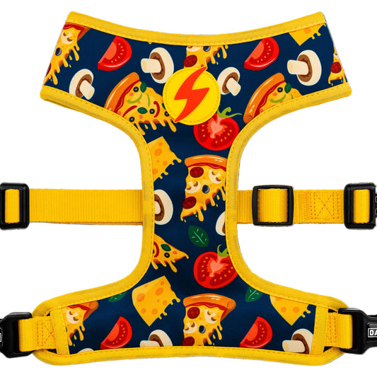 DASHI CHEESY NEO MESH