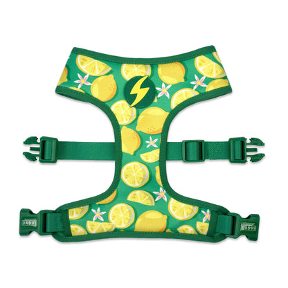 DASHI ECO RIO NEO MESH