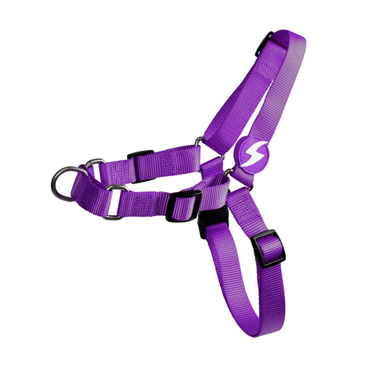 DASHI SOLID PURPLE FRONT HARNESS