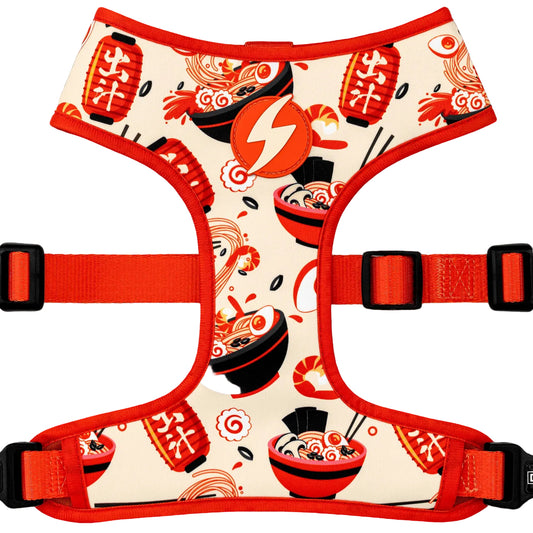 DASHI HASHI NEO MESH