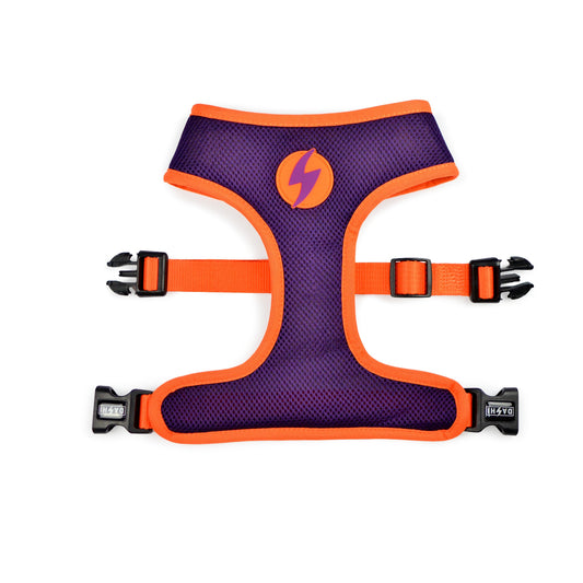 DASHI PUMPKIN NEO MESH HALLOWEEN