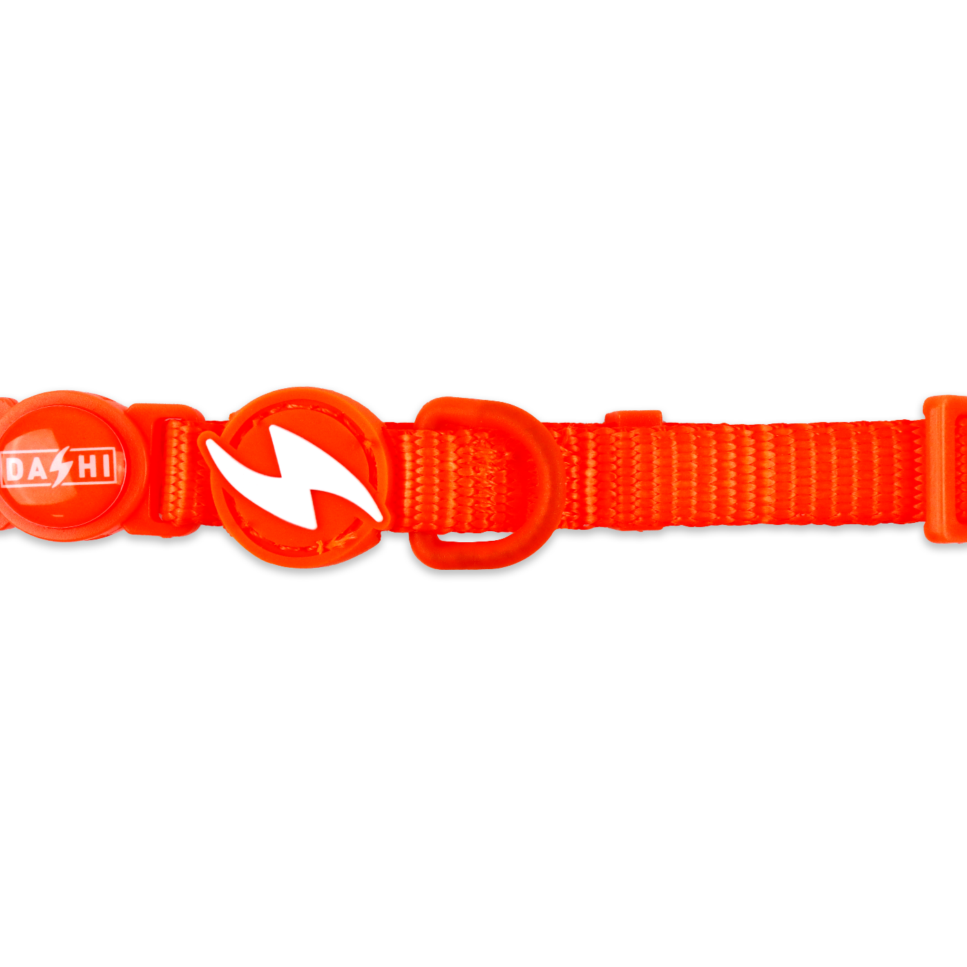 DASHI NEON ORANGE COLLAR CAT