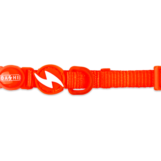 DASHI NEON ORANGE COLLAR CAT