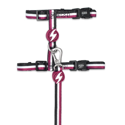 DASHI STRIPES3 PURPLE & BLACK CAT HARNESS + LEASH