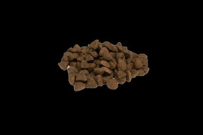WEEGO GRAIN FREE DOG FOOD ADULT OCEAN SALMON 400G / 2KG / 10KG