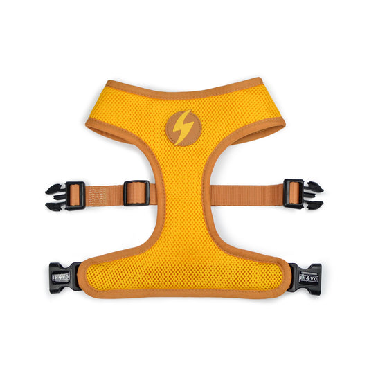 DASHI SNOOZE NEO MESH