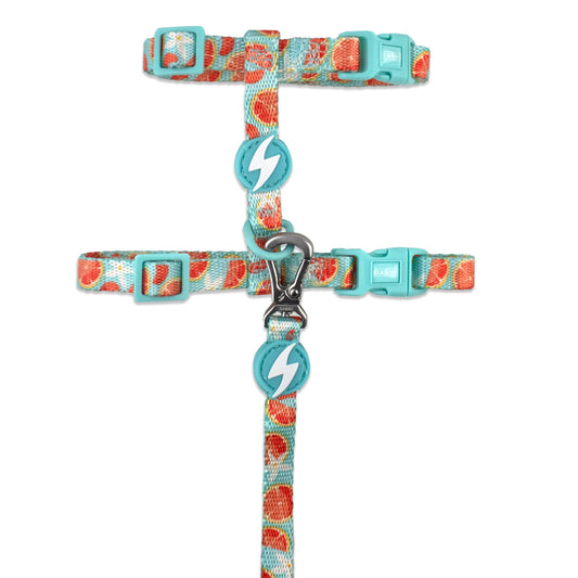 DASHI ECO CARIBE CAT HARNESS + LEASH