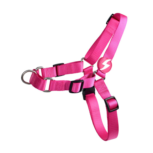 DASHI SOLID PINK FRONT HARNESS