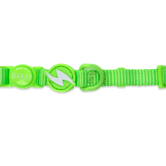 DASHI NEON GREEN COLLAR CAT
