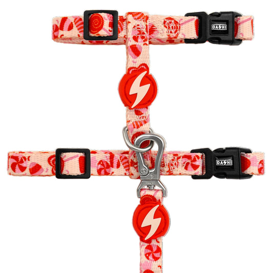 DASHI SPRINKLE CAT HARNESS + LEASH