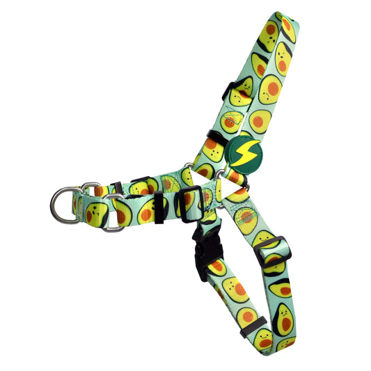 DASHI AVOCADO FRONT HARNESS