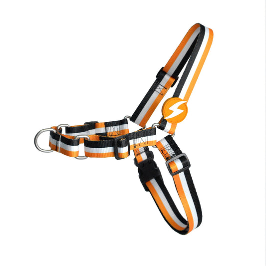 DASHI STRIPES3 ORANGE & BLACK FRONT HARNESS