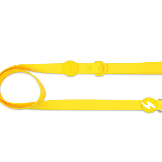 DASHI COLORFLEX YELLOW LEASH