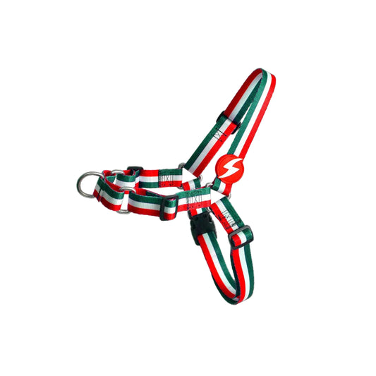 DASHI STRIPES3 GREEN & RED FRONT HARNESS