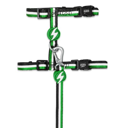 DASHI STRIPES3 GREEN & BLACK CAT HARNESS + LEASH