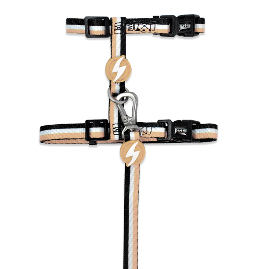 DASHI STRIPES3 BROWN & BLACK CAT HARNESS + LEASH