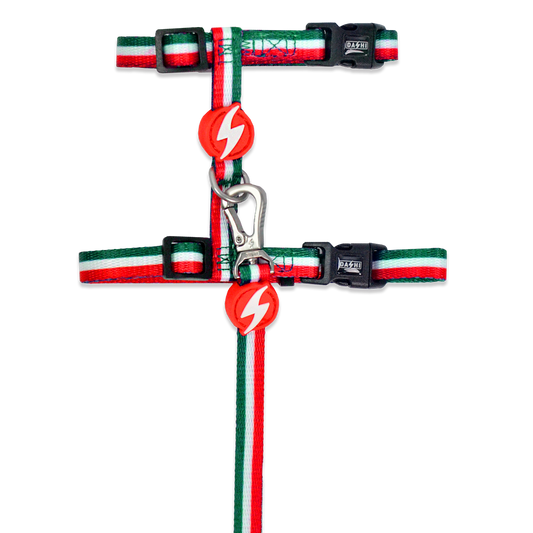 DASHI STRIPES3 GREEN & RED CAT HARNESS + LEASH