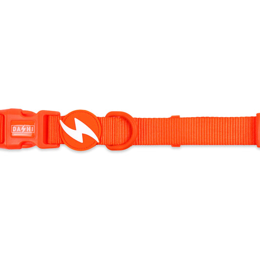DASHI NEON ORANGE COLLAR