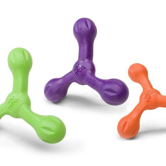 West Paw  Echo Skamp